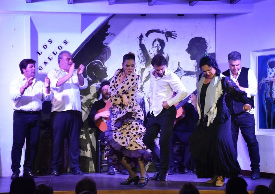 Seville: Flamenco Show at Tablao Los Gallos - Seating, Sightlines, and Comfort