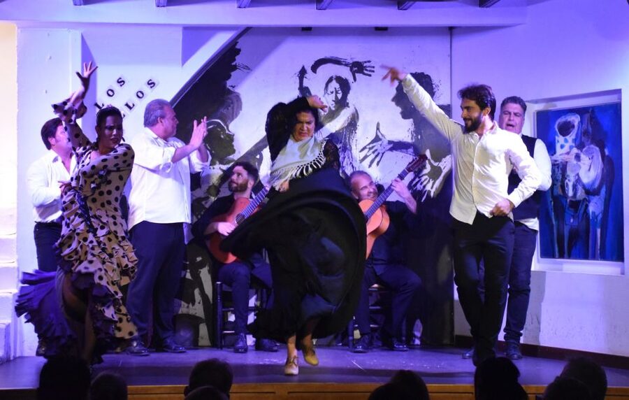Seville: Flamenco Show at Tablao Los Gallos - Who Should Book This Show