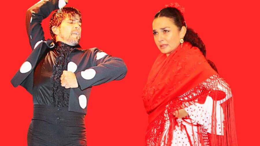 Seville: Flamenco Show & Cocktail Experience - Key points at a glance