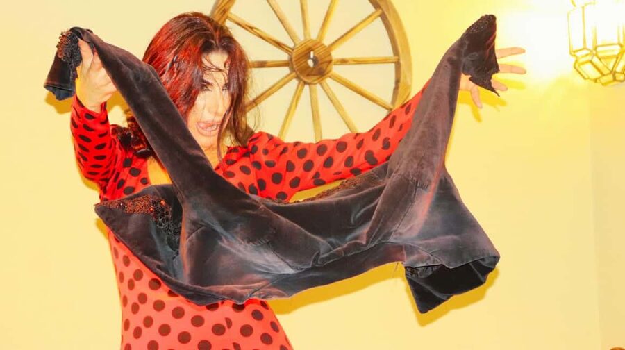 Seville: Flamenco Show & Cocktail Experience - Who will enjoy this show most