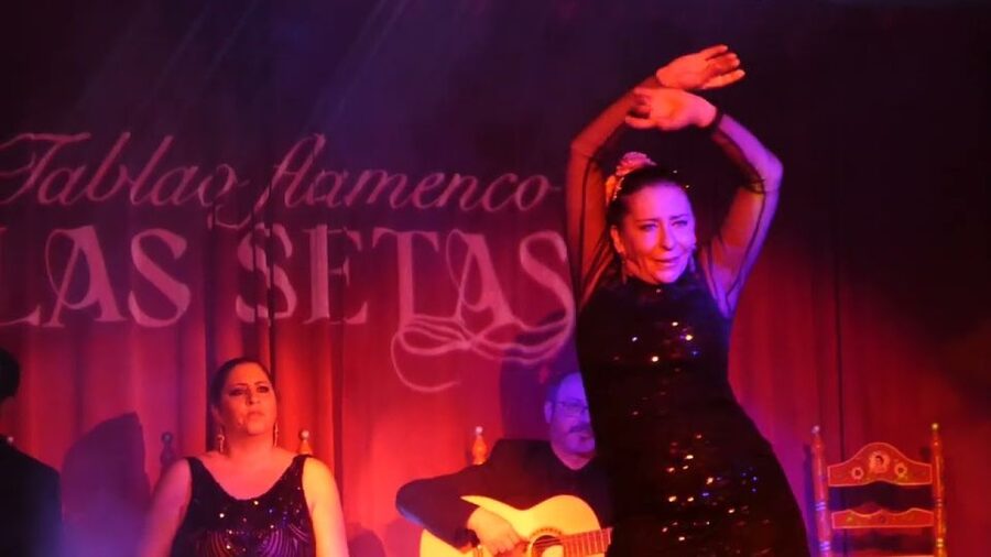 Seville: Flamenco Show & Roof Dinner with Cathedral Views - Why the small room matters
