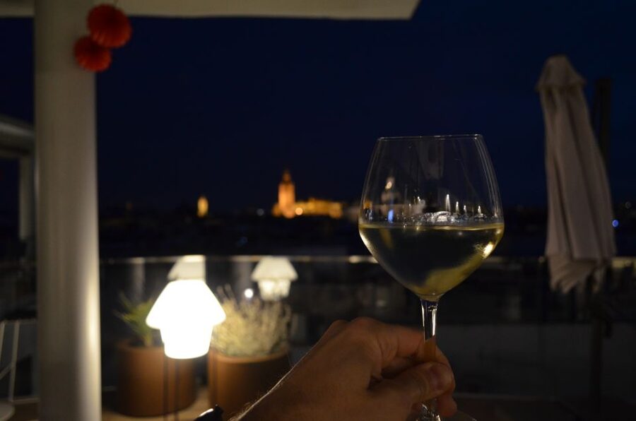 Seville: Flamenco Show & Roof Dinner with Cathedral Views - Who should book this experience?