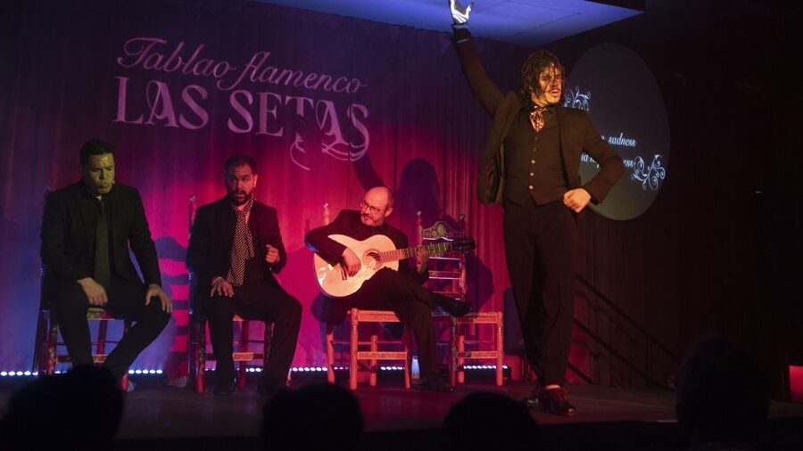 Seville: Flamenco Show & Roof Dinner with Cathedral Views - What happens inside Tablao Flamenco Las Setas