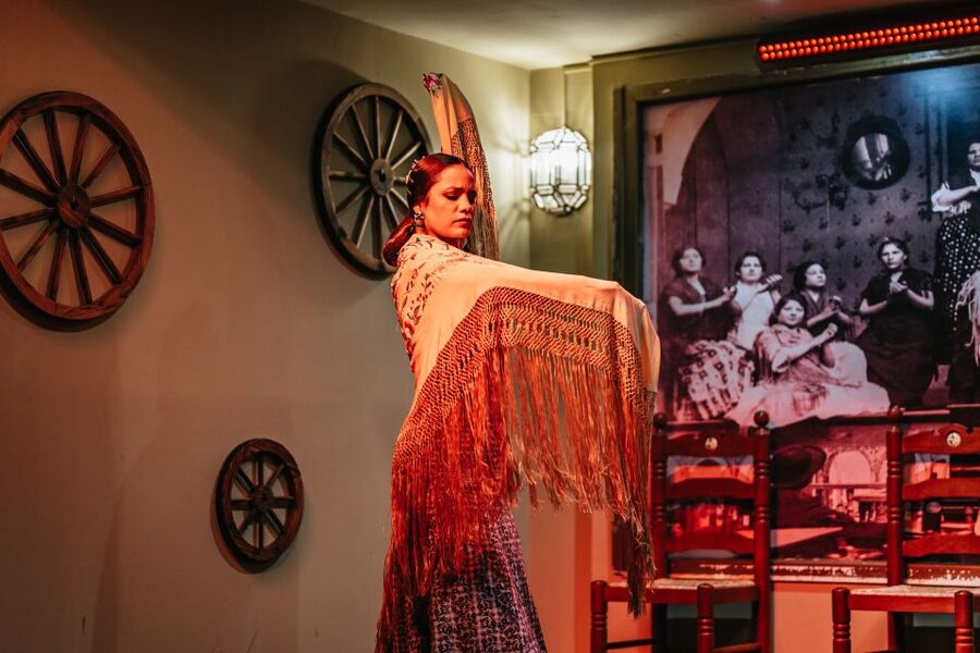 Seville: Flamenco Show with Andalusian Dinner at La Cantaora - Practical tips for getting more from the evening