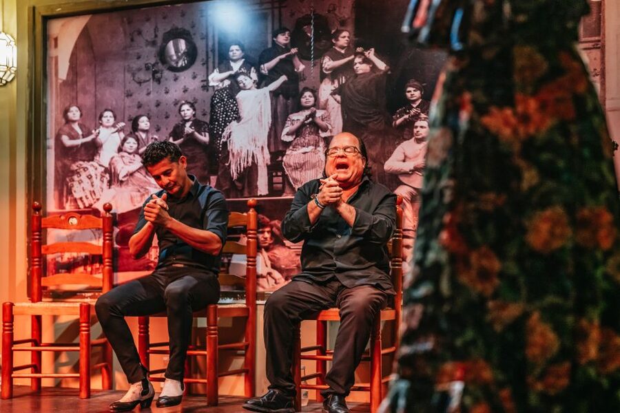 Seville: Flamenco Show with Andalusian Dinner at La Cantaora - Who will enjoy this flamenco show most