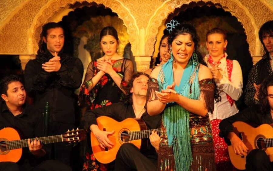 Seville: Half-Day Flamenco & Tapas Night - What the guide adds
