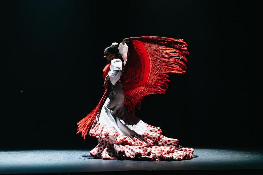 Seville: Live Flamenco Dancing Show Ticket at the Theater - Why this one-hour show works so well in Seville