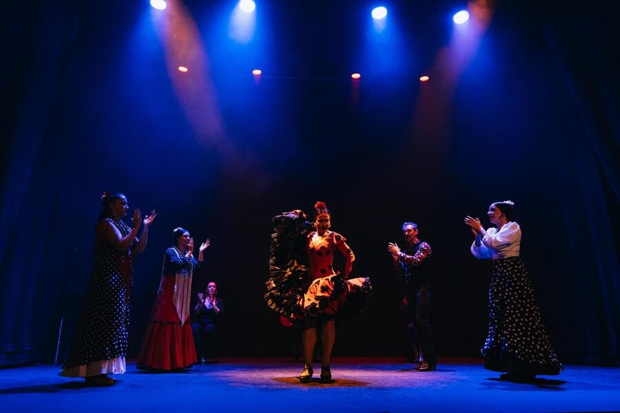 Seville: Live Flamenco Dancing Show Ticket at the Theater - The dance: power, control, and changing styles