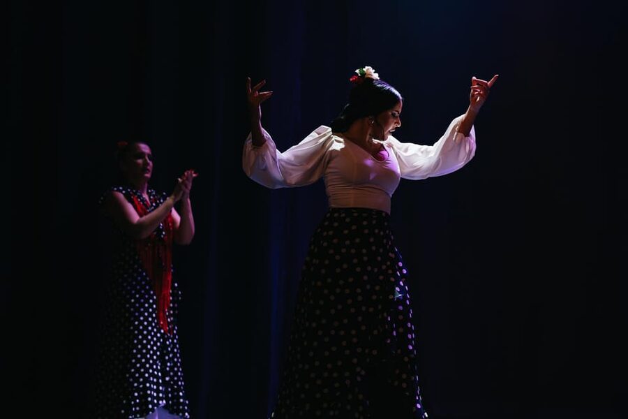 Seville: Live Flamenco Dancing Show Ticket at the Theater - What makes it feel like more than a dance recital