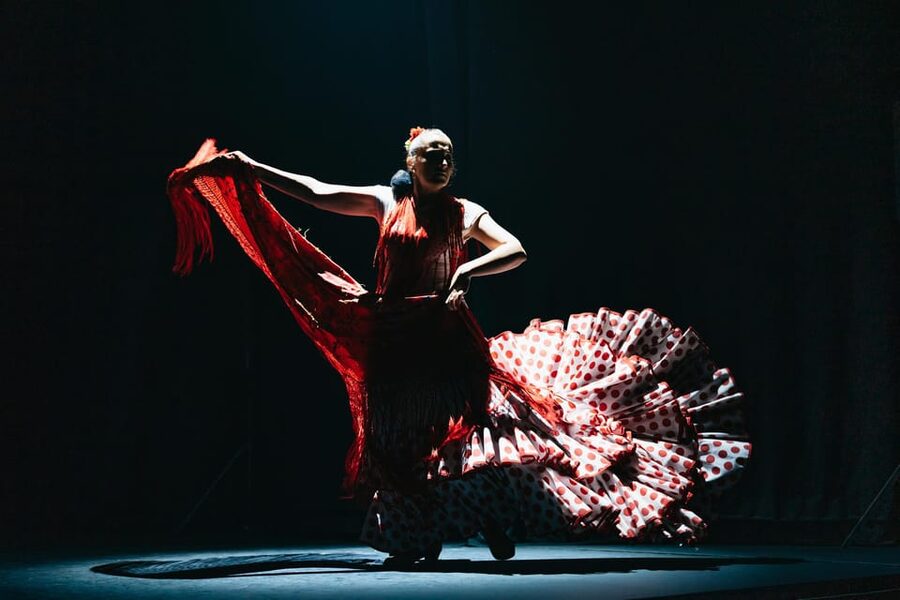 Seville: Live Flamenco Dancing Show Ticket at the Theater - Who will enjoy this show most