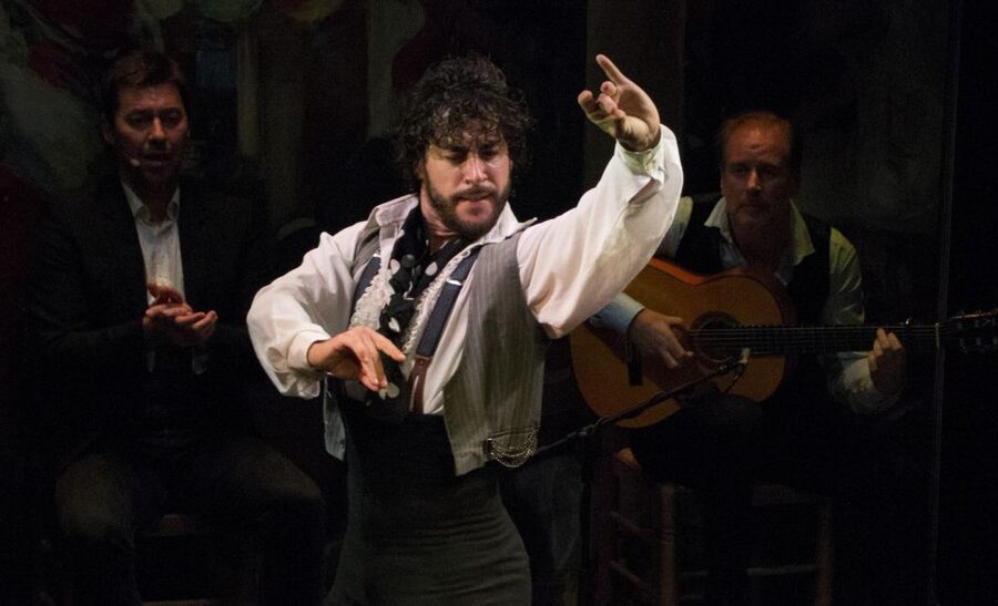 Seville: Live Flamenco Show at "Teatro Flamenco Triana" - The artists are the main event