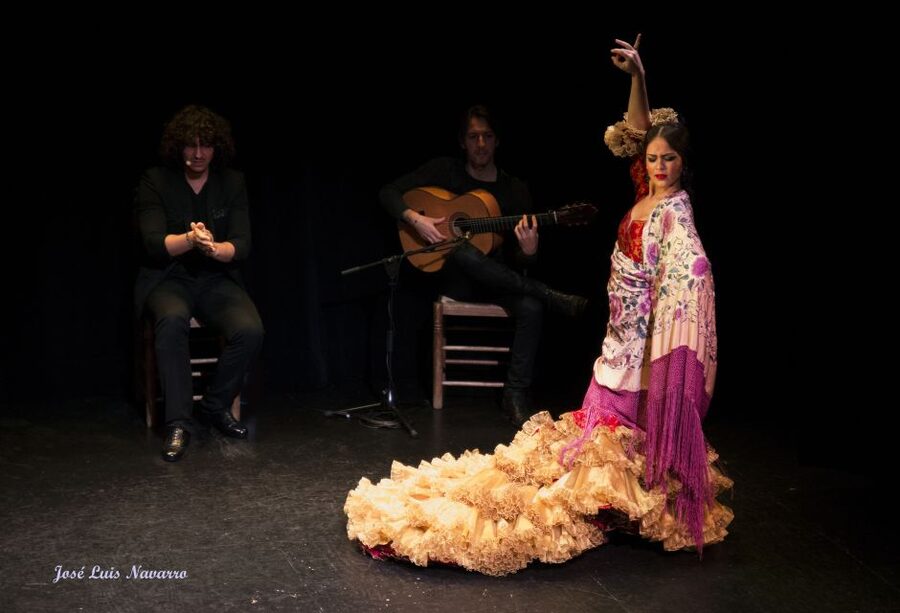 Seville: Live Flamenco Show at "Teatro Flamenco Triana" - A theater built for concentration