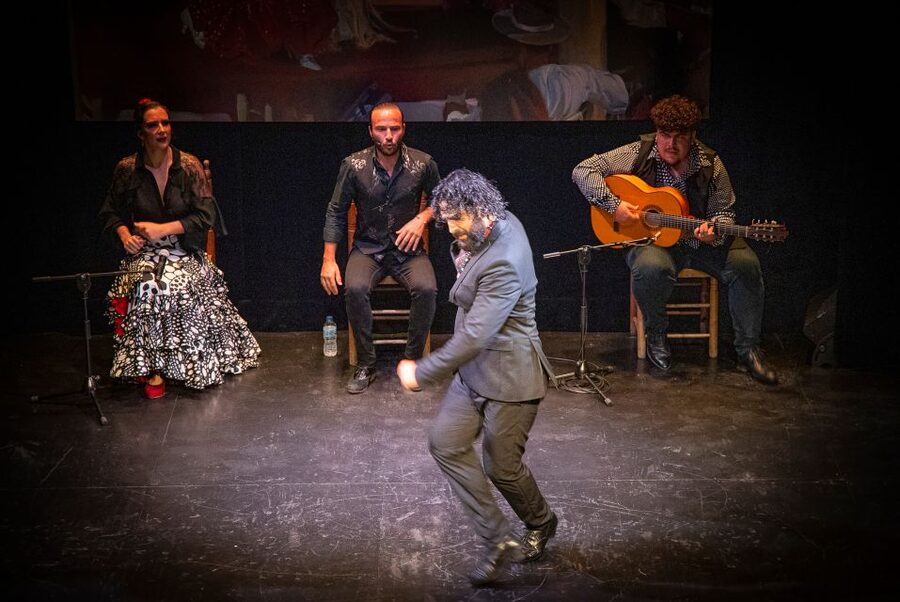 Seville: Live Flamenco Show at "Teatro Flamenco Triana" - Who will enjoy this flamenco show most