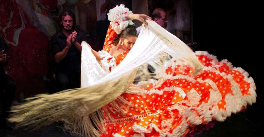 Seville: Live Flamenco Show at "Teatro Flamenco Triana" - What happens during the one-hour show