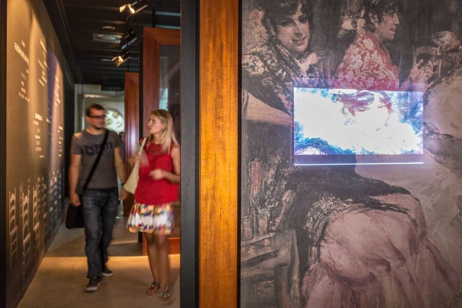 Seville: Museum of Flamenco Dance Admission Ticket - Six styles that give the visit structure
