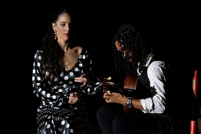 Seville Pure Flamenco Tour - Should you book the Seville Pure Flamenco Tour?