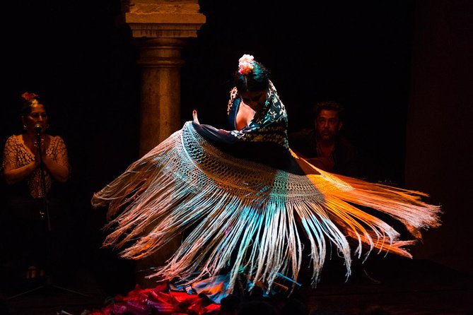 Seville: Puro Flamenco Show - Museo del Baile Flamenco - What the Puro Flamenco show feels like