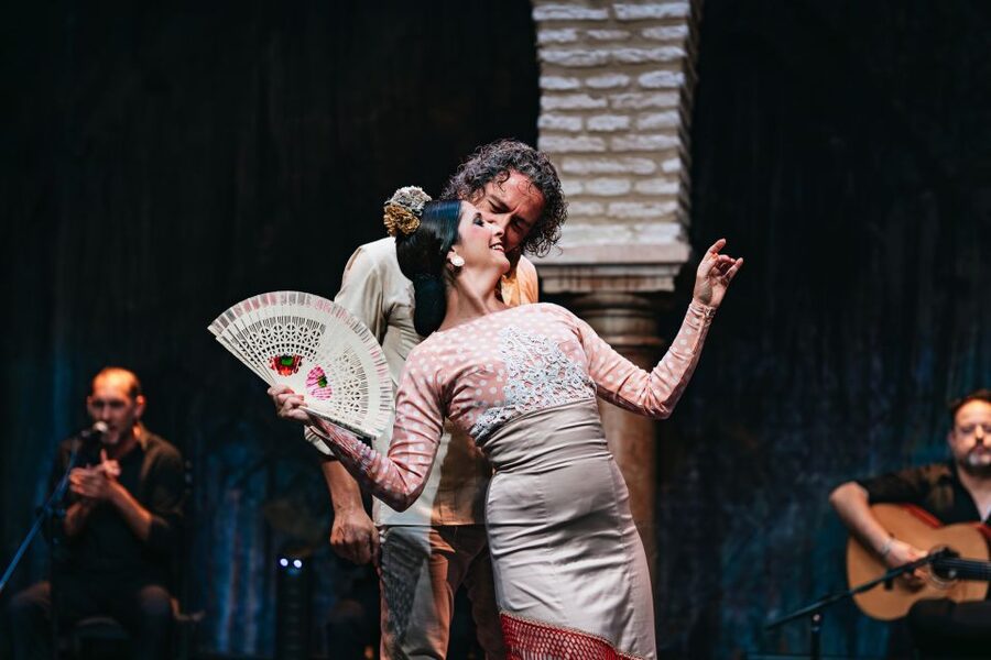 Seville: Puro Flamenco Show with Optional Museum Ticket - A close-up flamenco night in Santa Cruz