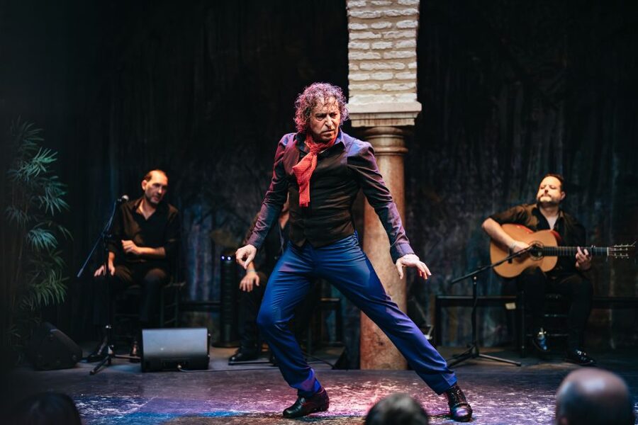 Seville: Puro Flamenco Show with Optional Museum Ticket - Should you book this Seville flamenco show?