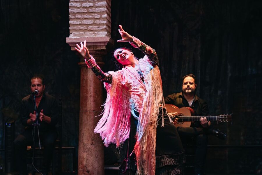 Seville: Puro Flamenco Show with Optional Museum Ticket - Is the show suitable for children?