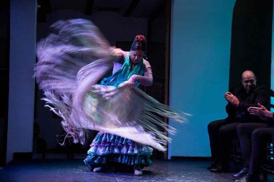 Seville: Tapas Dinner and Flamenco Show - Practical details to know before you book
