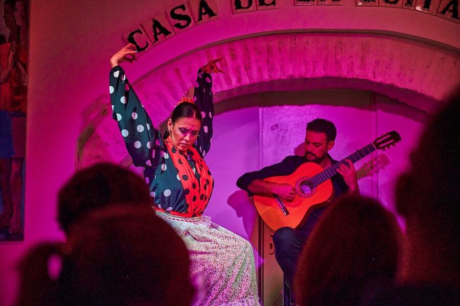 Seville: Ticket to Flamenco Show at La Casa de la Guitarra - What happens during the one-hour performance