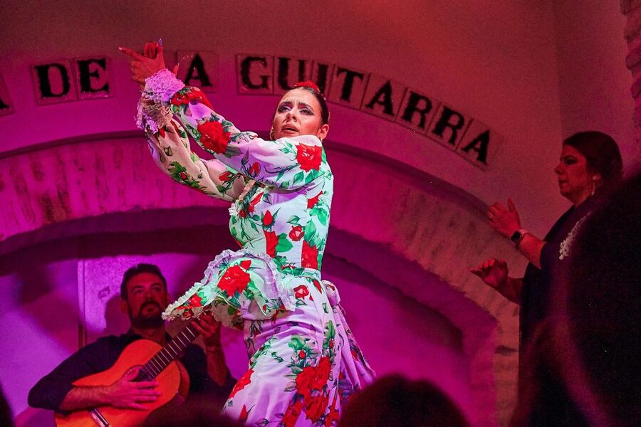 Seville: Ticket to Flamenco Show at La Casa de la Guitarra - Who should book this flamenco experience?