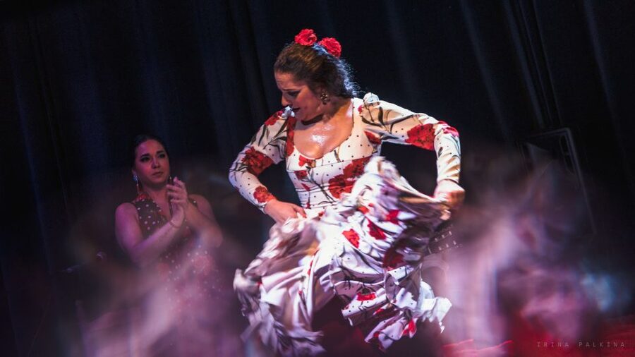 Seville: Traditional Flamenco Show in Triana - Who will enjoy this Triana performance most