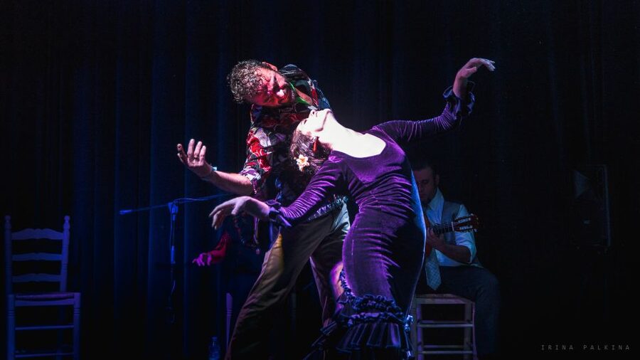 Seville: Traditional Flamenco Show in Triana - The river view adds atmosphere, not a sightseeing stop