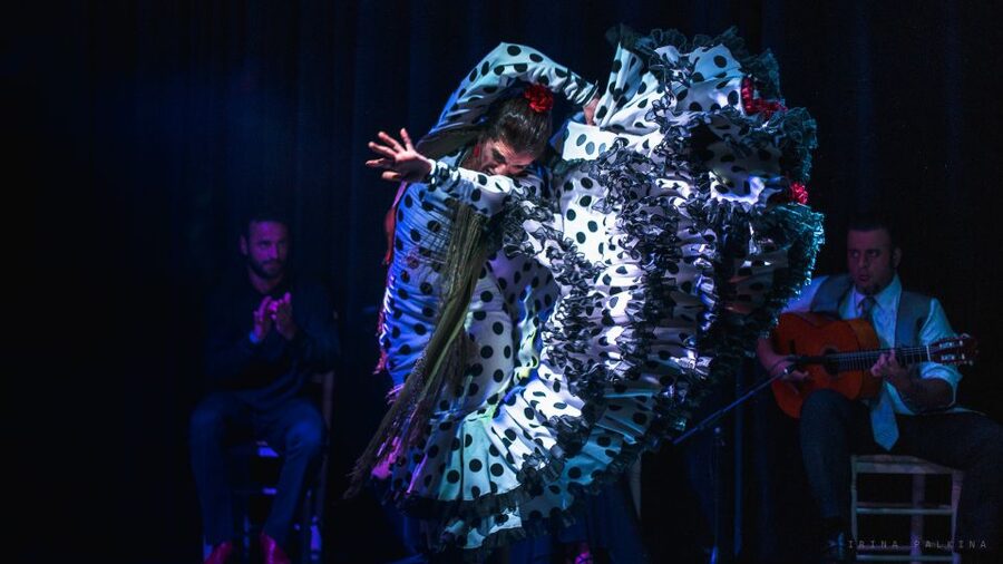 Seville: Traditional Flamenco Show in Triana - Practical details that affect your choice