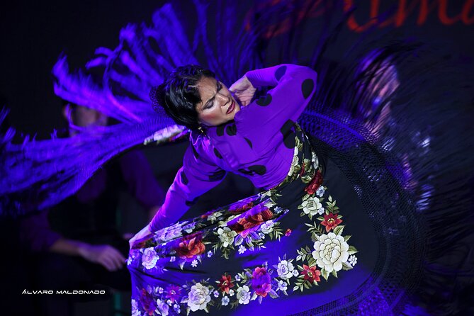 Tablao Flamenco Alma - Live Flamenco Show - What You See During the 50 to 60 Minutes