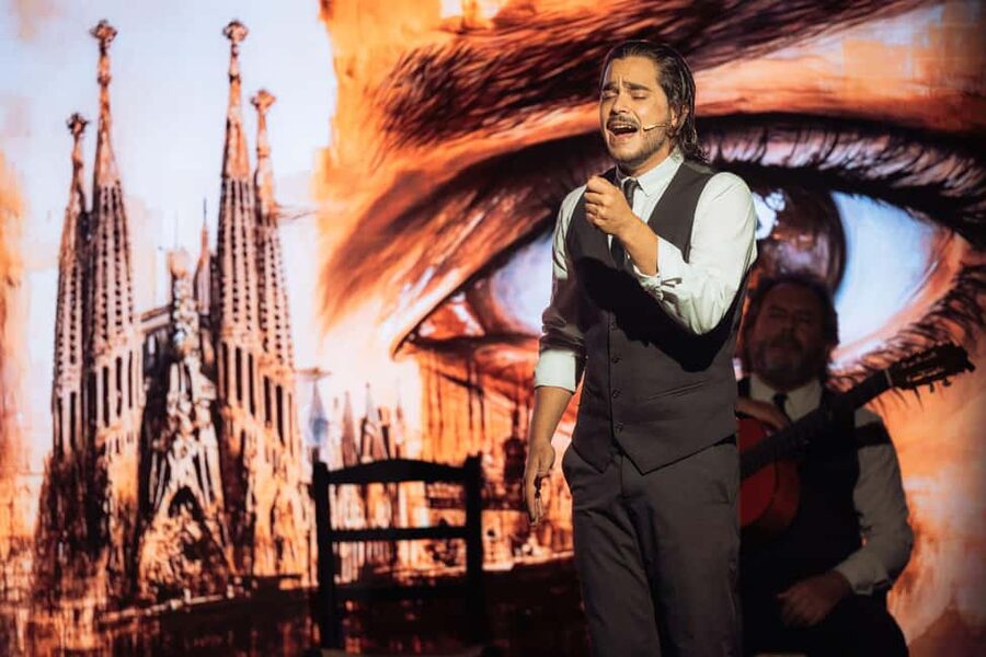 Teatro Flamenco Barcelona: Authentic Live Flamenco Show - Choosing General, Premium, or VIP