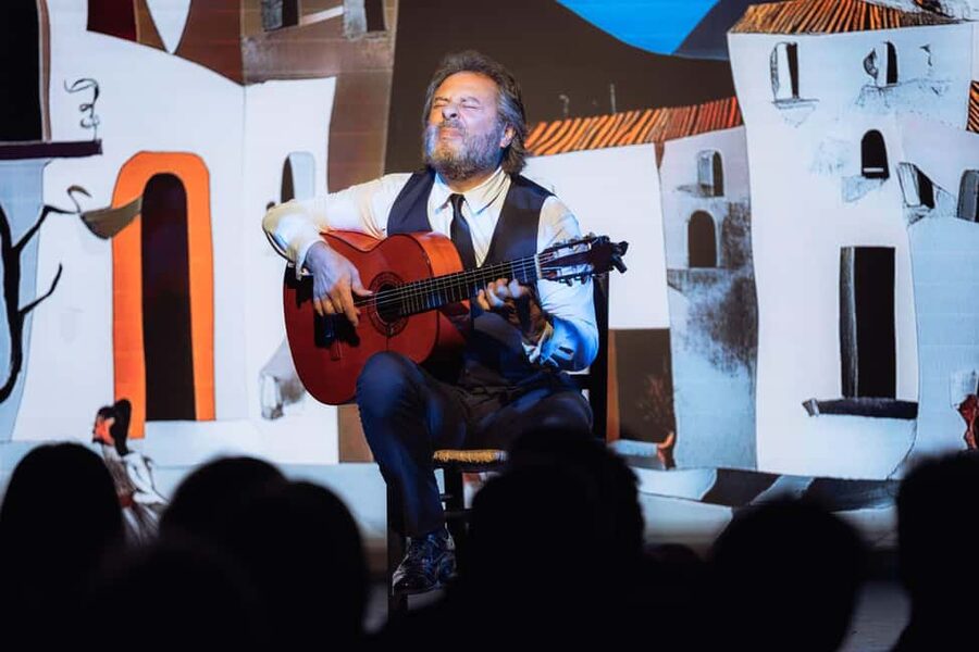 Teatro Flamenco Barcelona: Authentic Live Flamenco Show - Staff, Timing, and General Organization