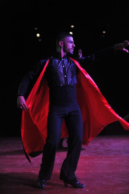 Tenerife: Flamenco Performance at Teatro Coliseo - Getting to the venue and handling the arrival