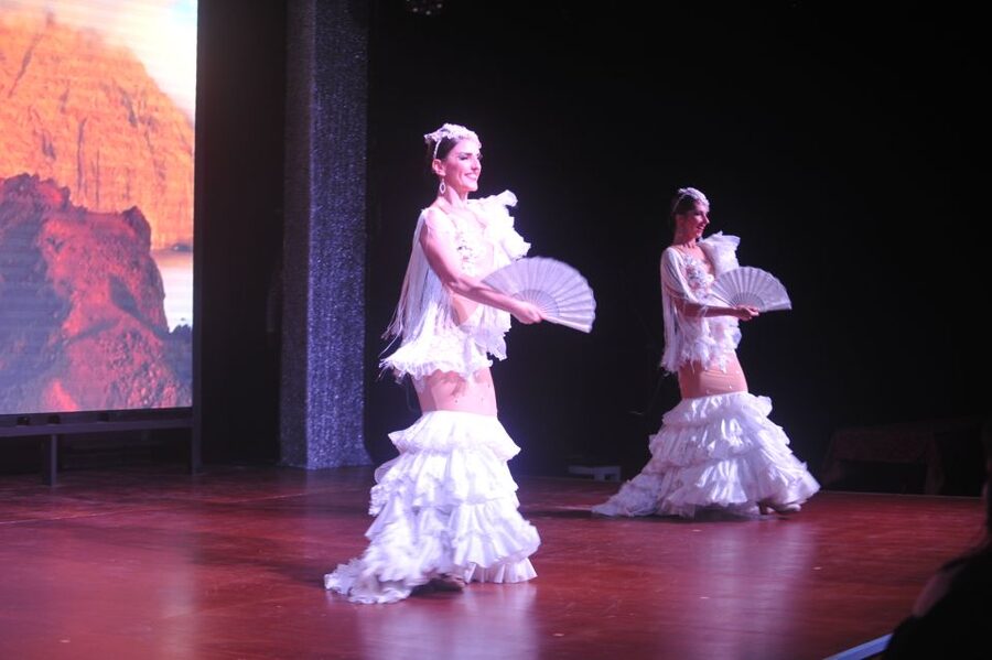 Tenerife: Flamenco Performance at Teatro Coliseo - Who will enjoy this performance most