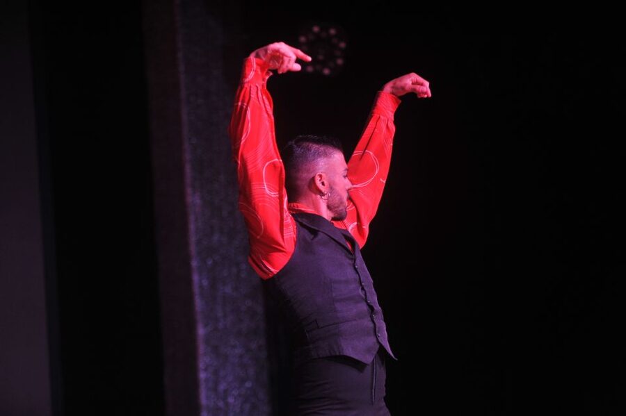 Tenerife: Flamenco Performance at Teatro Coliseo - Cancellation and booking flexibility