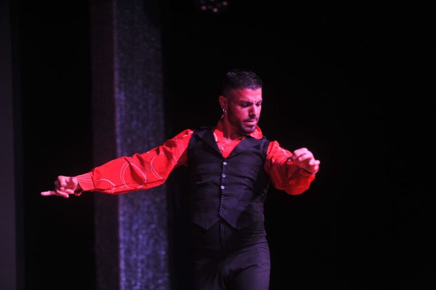 Tenerife: Flamenco Performance at Teatro Coliseo - What the dances add to the evening