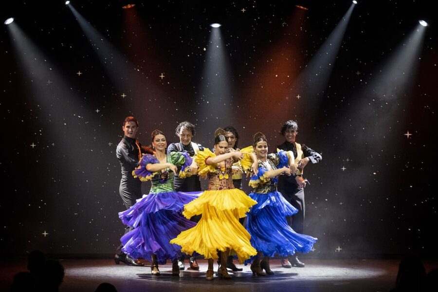 Tenerife : Olé Flamenco Show by Fran Chafino Ticket - What happens during the 90-minute performance