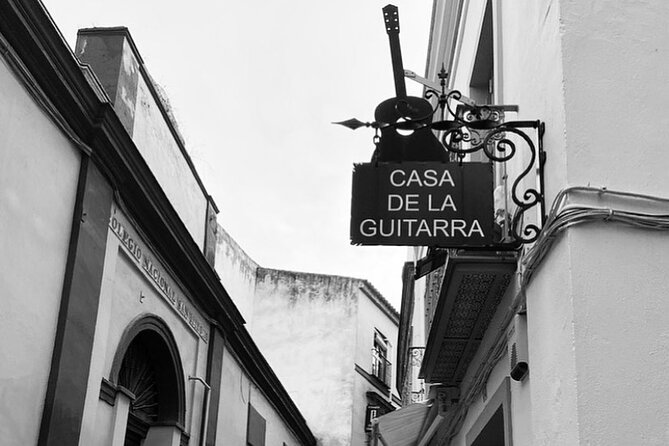 Ticket for Casa de la Guitarra Flamenco Show - Who will enjoy this show most