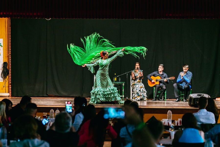 Torremolinos: Flamenco Show with Dinner and Drinks - Dietary needs and practical limits