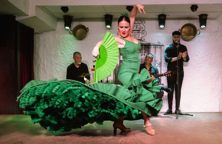 Torremolinos: Flamenco Show with Drinks - Is $41 good value?