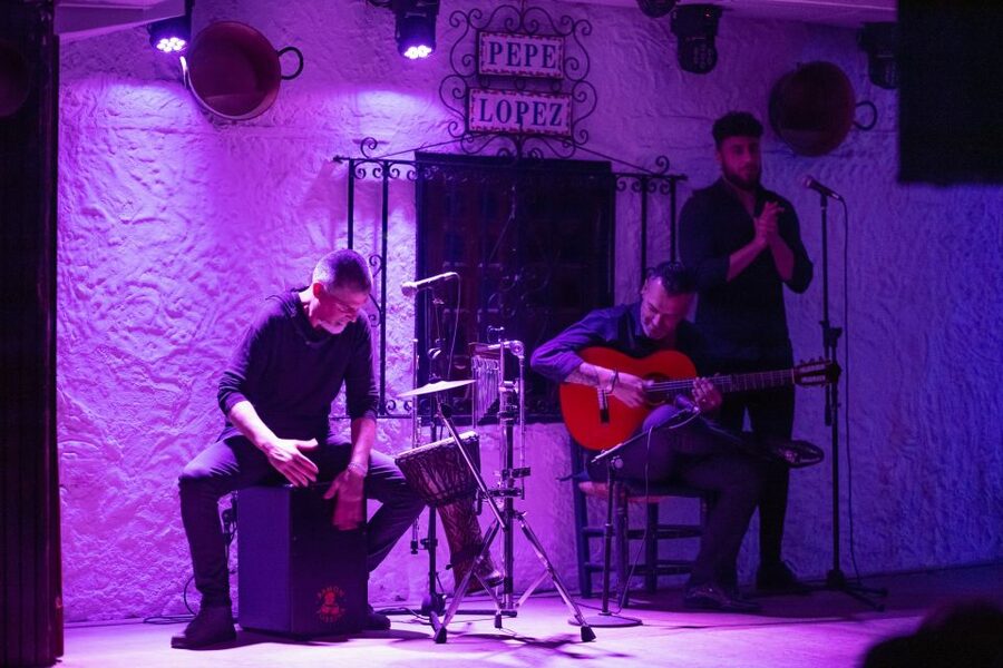 Torremolinos: Flamenco Show with Drinks - A fair reading of the weaker points
