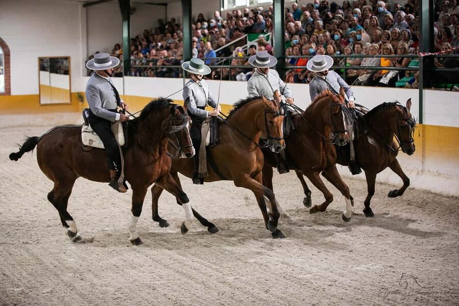 Torremolinos: Spanish horse and flamenco show - Why the horses are the real stars