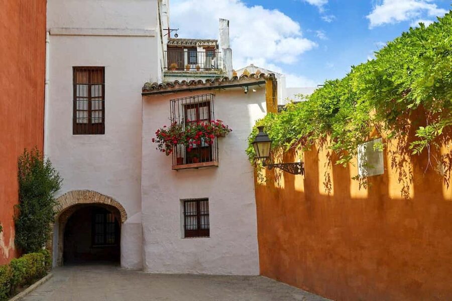 Unforgettable Seville: Tour of Seville and the Jewish Quarter + Flamenco Show - Is $65 a fair price?