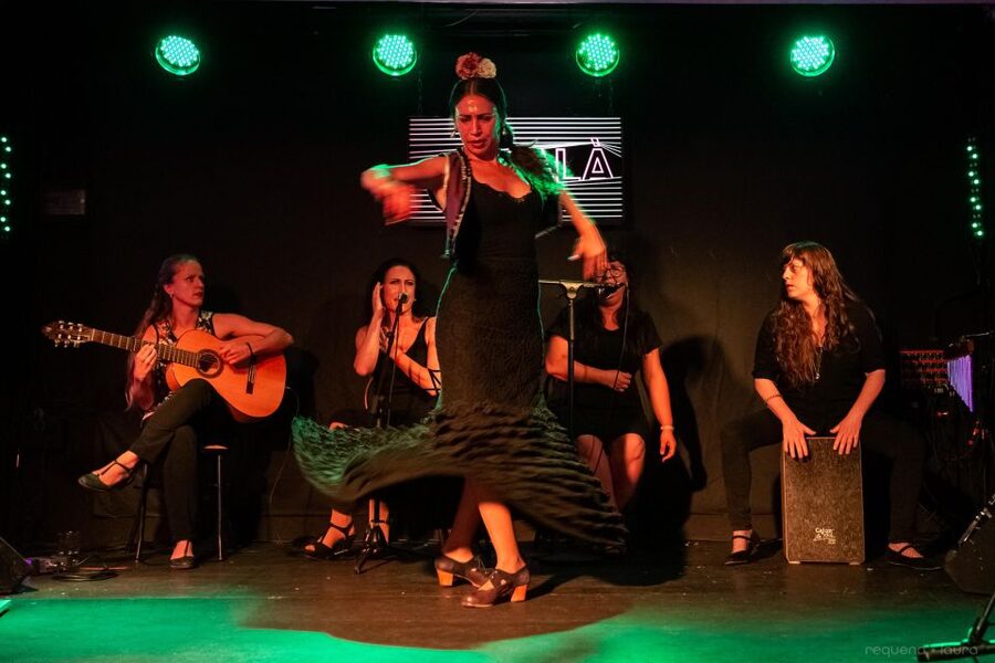 Valencia: Authentic Flamenco Show Entry Ticket - Why the intimate room changes the experience