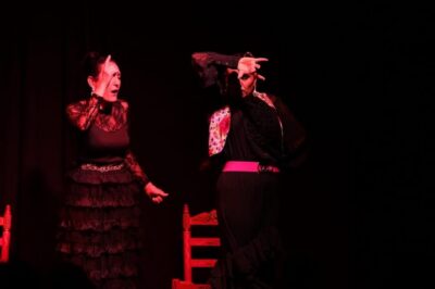 Authentic Flamenco Show Entry Ticket
