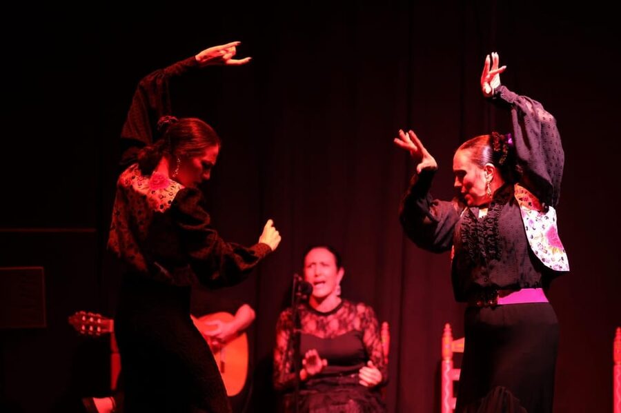 Valencia: Authentic Flamenco Show Entry Ticket - The performers are the main reason to go
