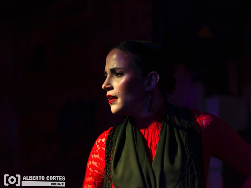 Valencia: Flamenco at Toro y La Luna with optional Dinner - What the seating means for your view