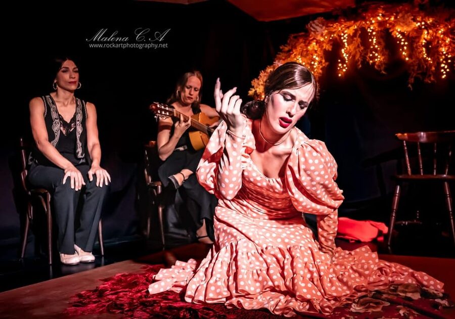 Valencia: Flamenco Show at Tablao La Reina - A one-hour flamenco show in the heart of Valencia