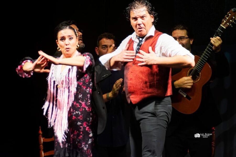 Valencia: New Flamenco Show in the Most Emblematic Theater of the City - Key points at a glance